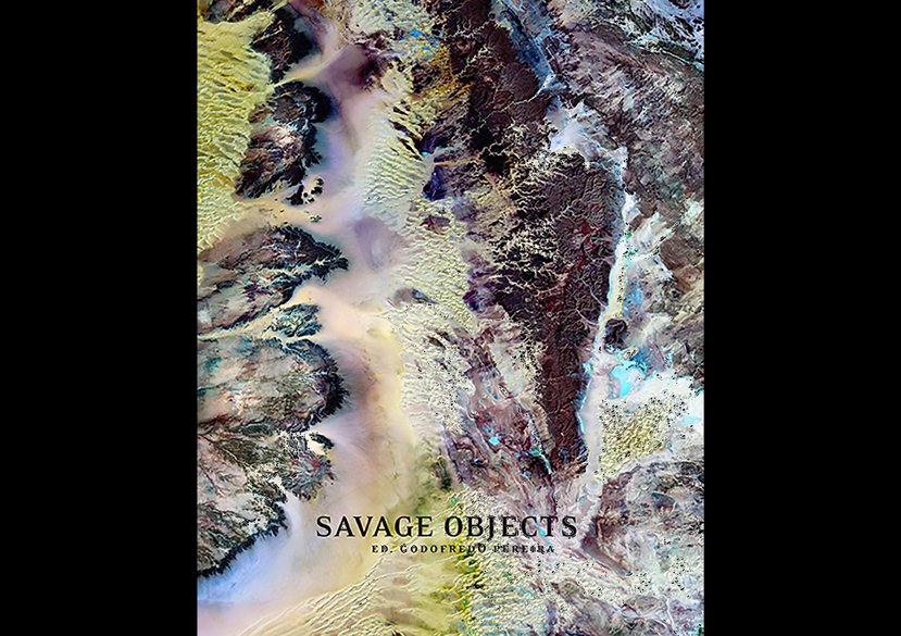 Savage Objects. Edited by Godofredo Pereira. INCM, 2012.