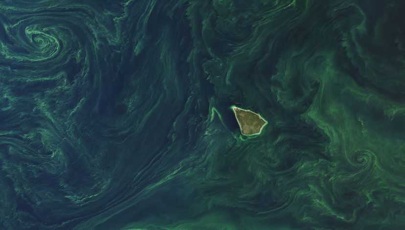 Aril view of the baltic sea