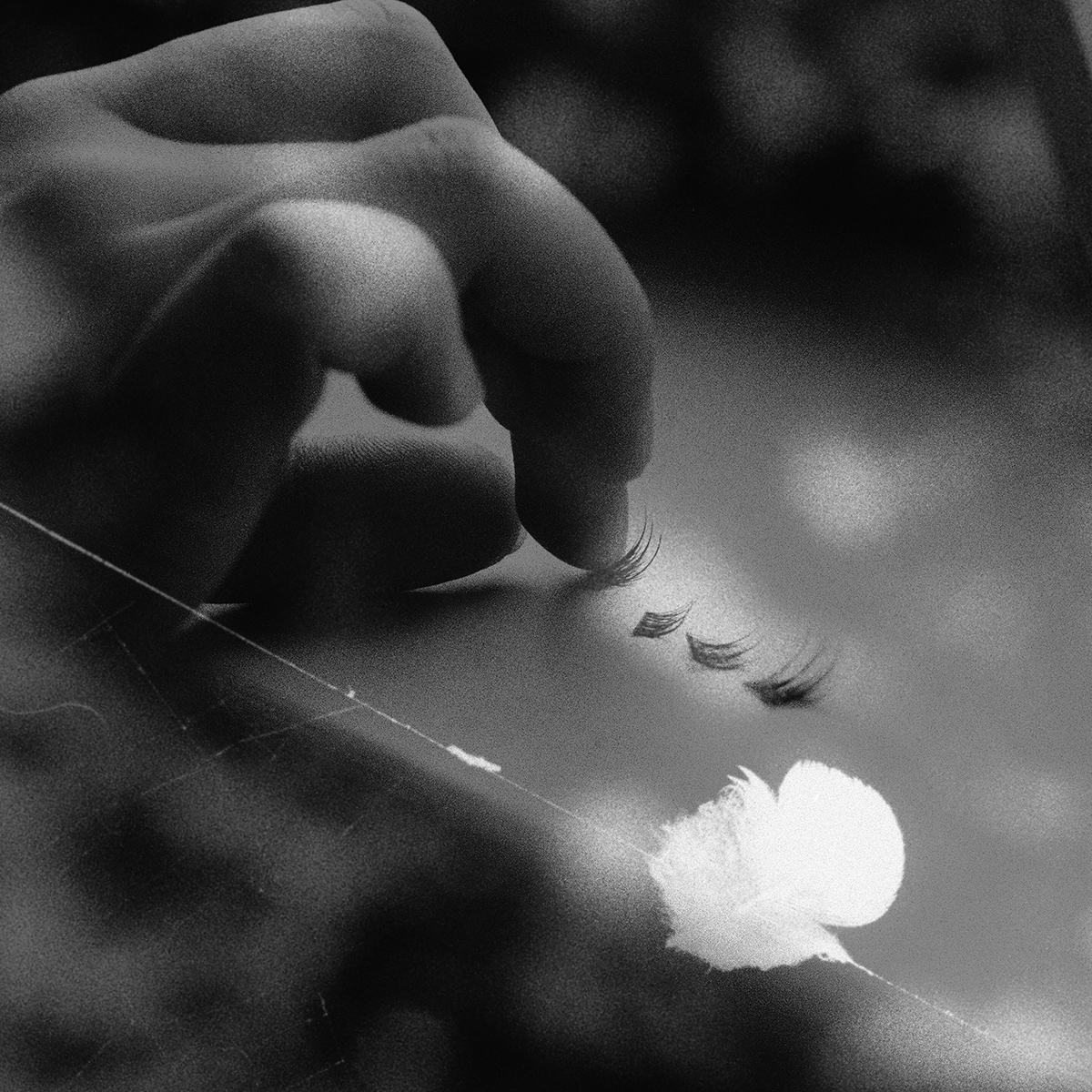 Wanqi Zhu MA Photography