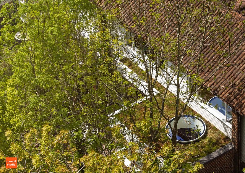 A Small Studio, Woods