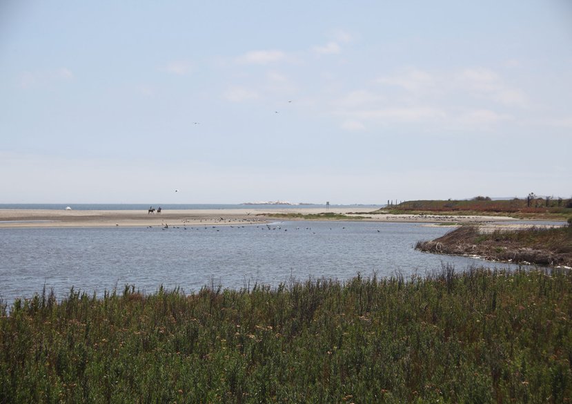 Aconcagua at Concón, 2022