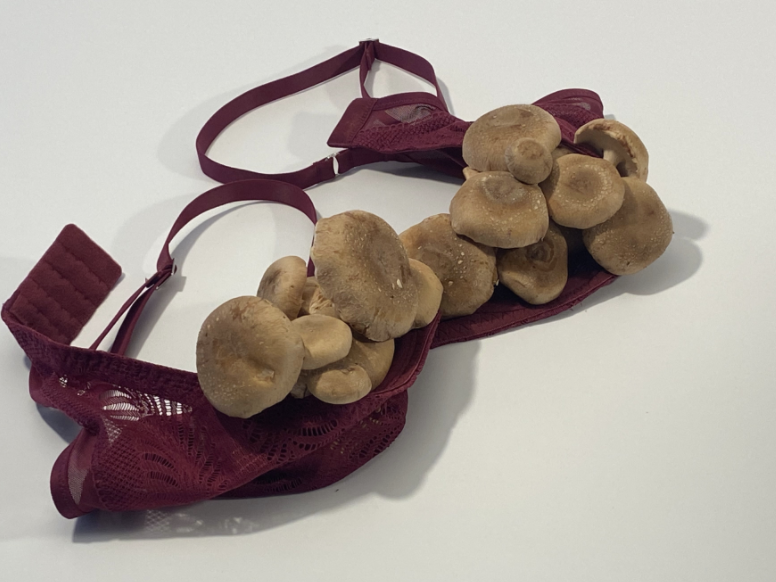 Alex Pillen, Contemporary Art Summer School 2024