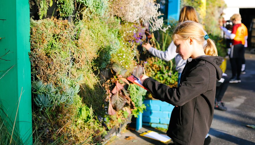 Our Beautiful Neighbourhood. All Saints Primary Workshop - credit Heather Sibly