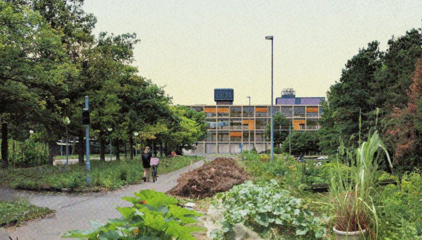 Campus in a Forest