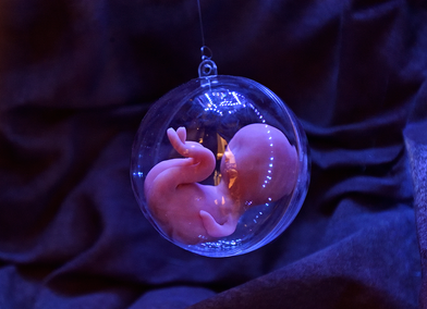 ART X SCIENCE - In Utero