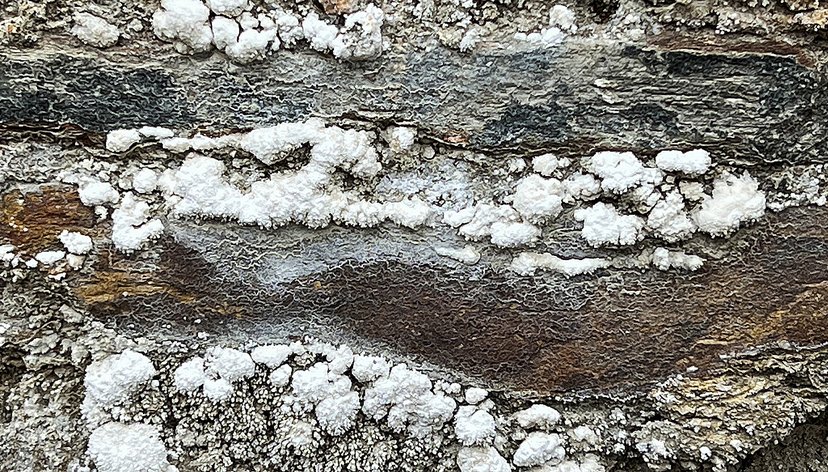 White arsenic crystals growing out of industrial ruins in the Tamar Valley