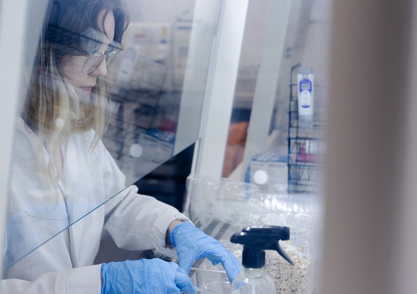 Biomaterials Lab Kensington