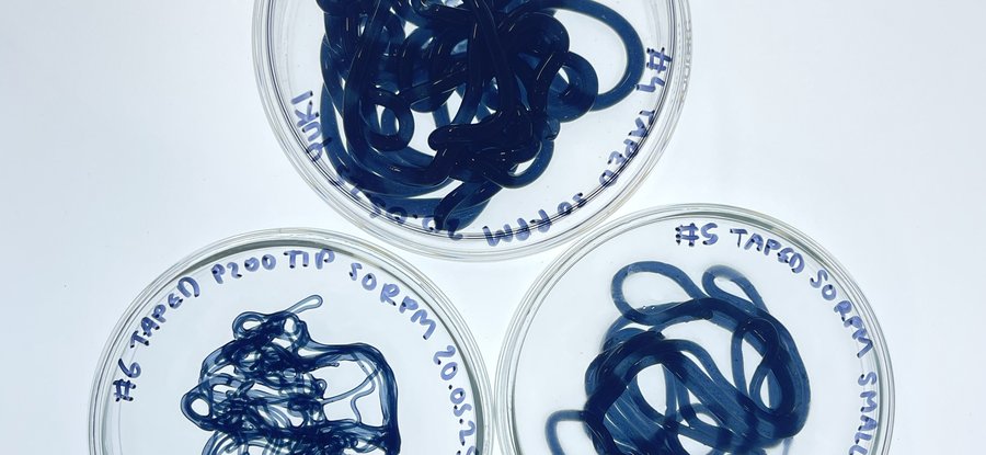 Sodium alginate extrusions