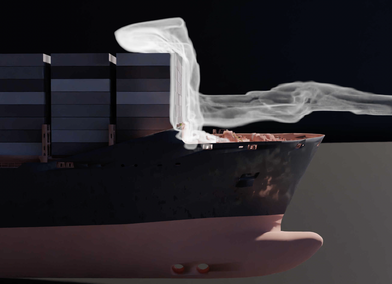 BlueNose, Terra Carta