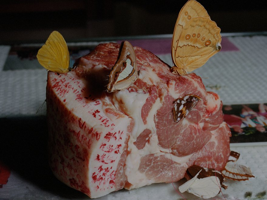 A photograph of a piece of steak with butterflies on it
