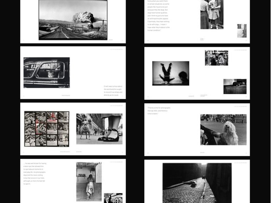 A graphic design of an editorial layout