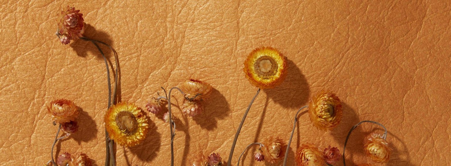 With Piñatex™, Dr Carmen Hijosa (School of Design) has pioneered a sustainable leather alternative made from pineapple leaf fibre