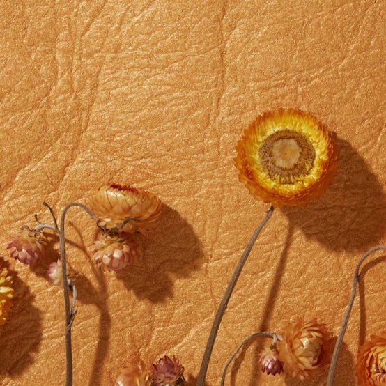 With Piñatex™, Dr Carmen Hijosa (School of Design) has pioneered a sustainable leather alternative made from pineapple leaf fibre