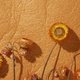 With Piñatex™, Dr Carmen Hijosa (School of Design) has pioneered a sustainable leather alternative made from pineapple leaf fibre