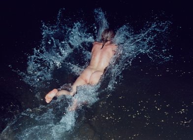 Family Portrait: The Whippets