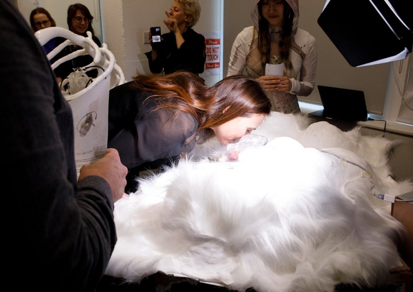 IFF Competition 2024 at RCA