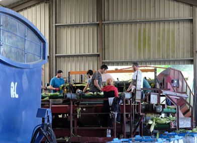 Ag.Lab [University of Exeter]