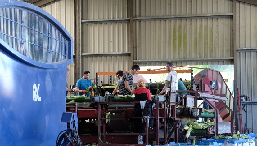 Ag.Lab [University of Exeter]