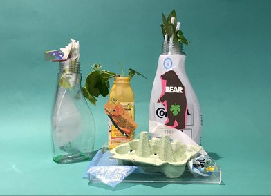 Creations of the Rainforest