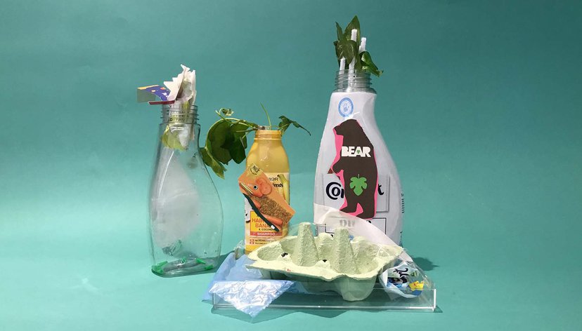 Creations of the Rainforest