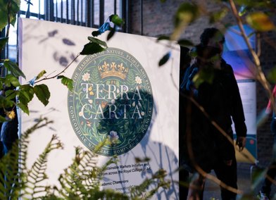 Terra Carta Design Lab exhibition at RCA Battersea, September 2024