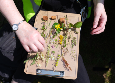 Making of a Meadow, workshop for children. June 2025.