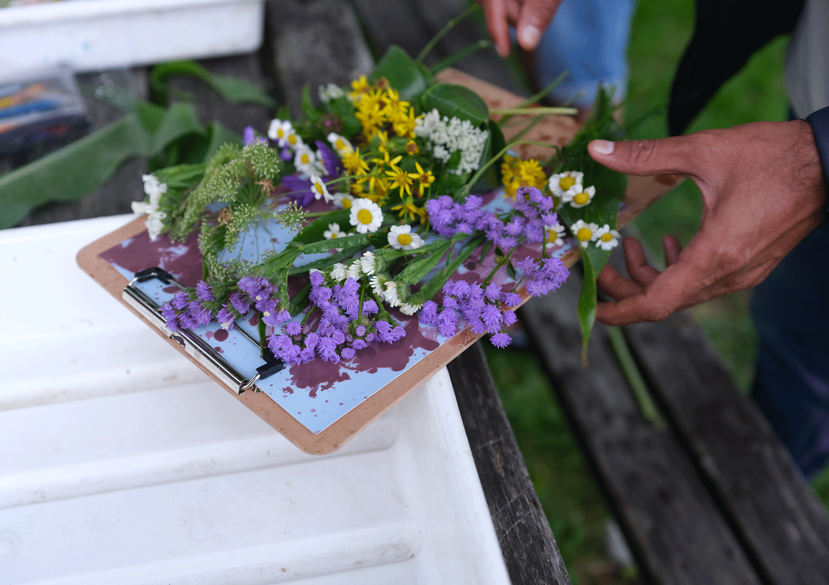 Phytogram workshop with Napier Friends, July 2025