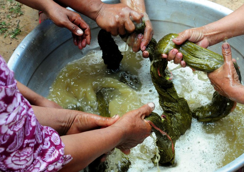 Silk dyeing at the Institute of Khmer Traditional Textiles, Siem Reap, Cambodia