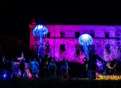 Artistic celebration and creative advocacy by project partner, I Stand Beside: ‘Dance of the Sea Nettles’ performed at Green Gathering in August 2024.jpeg