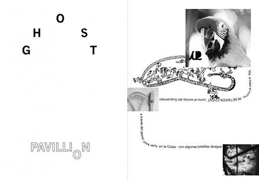 Delfina Fantini van Ditmar_Algorithmic Desert