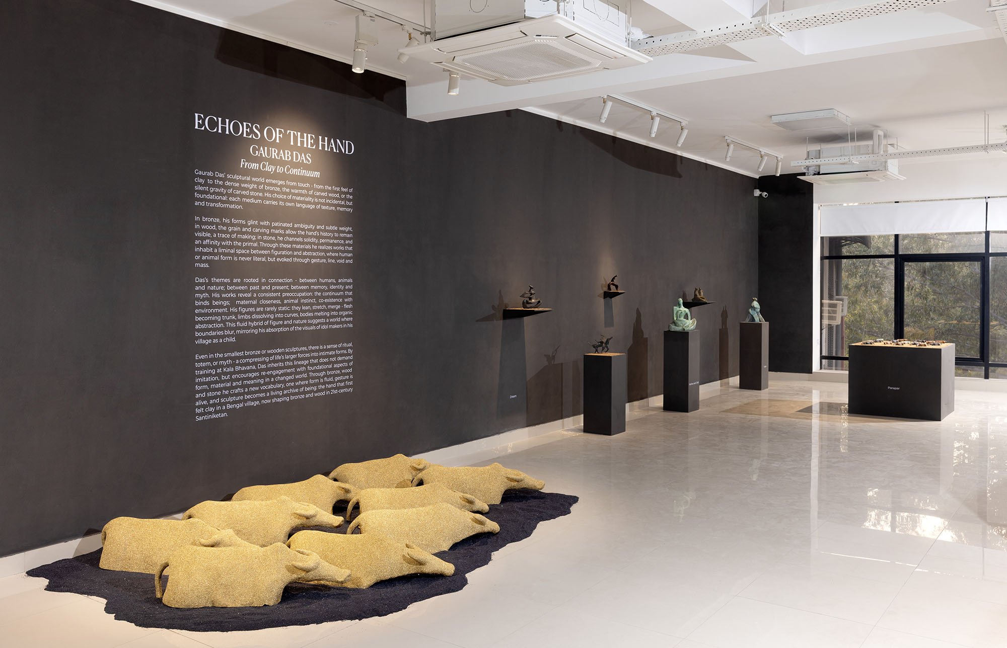 Echoes of the Hand by Gaurab Das