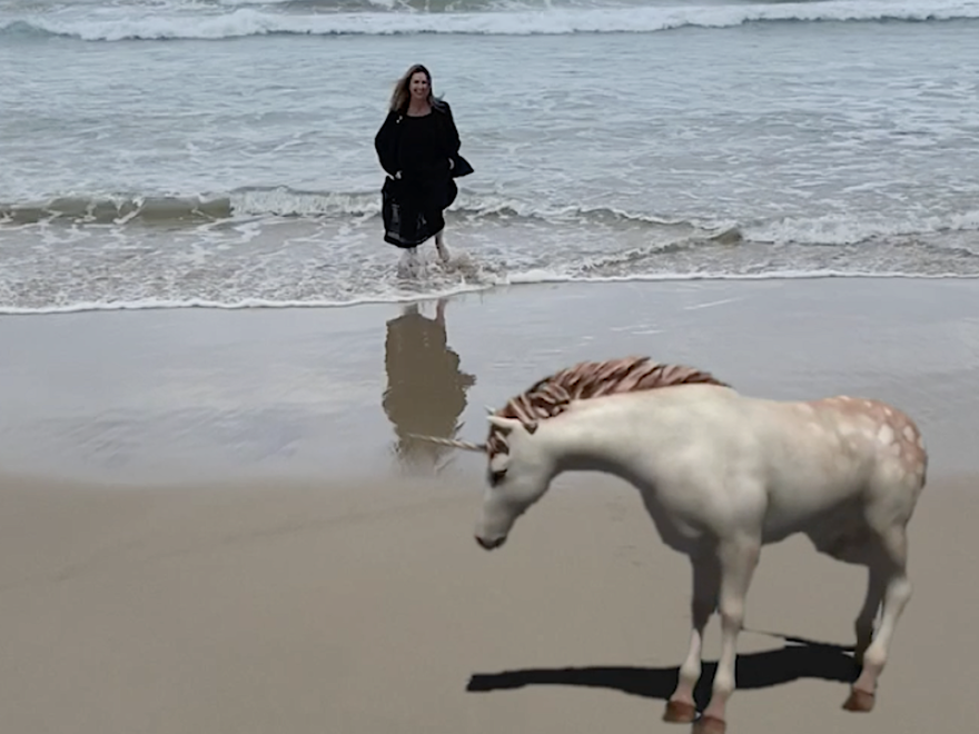 A photo of a woman on the beach with a figurine horse superimposed into the foreground