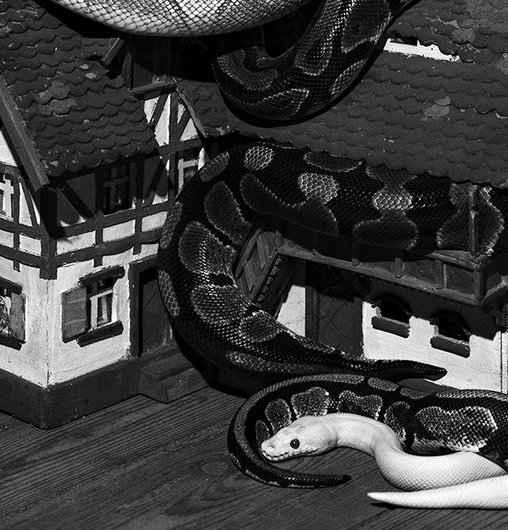 Elena_Helfrecht_Postcard_Degree_S.a866f300.fill-1440x530