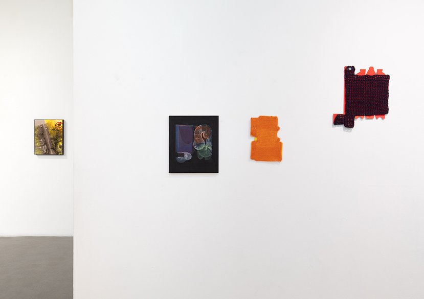 Erotic Ecologies 2024 )installation view)