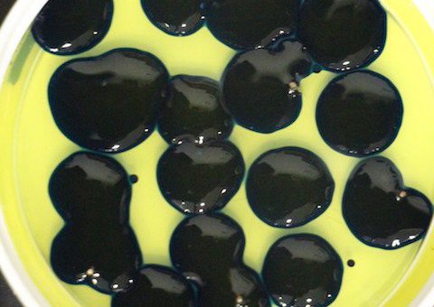 Exploring the design space of chemically responsive robotic materials