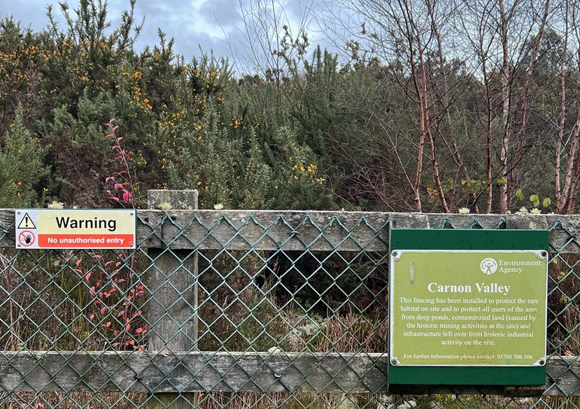 Fenced nature reserve in the Carnon Valley