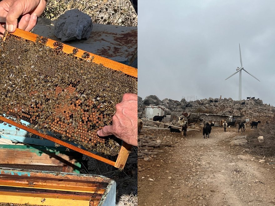 Weather assemblages and economies, eastern Kriti, Greece, November 2023: photograph, Christina Leigh Geros