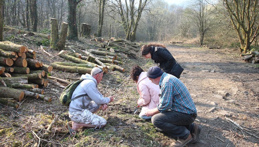 Welcome to our Woods woodland management project. Elena Luciano, Yasmina Yehia, Rafael Caldera, W2OW: Treherbert, Wales 2019