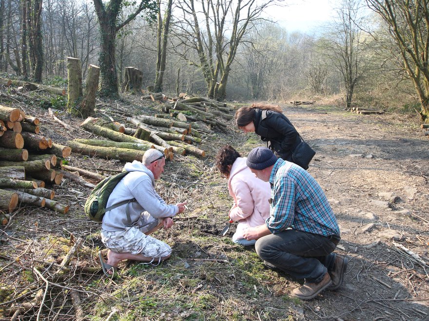 Welcome to our Woods woodland management project. Elena Luciano, Yasmina Yehia, Rafael Caldera, W2OW: Treherbert, Wales 2019