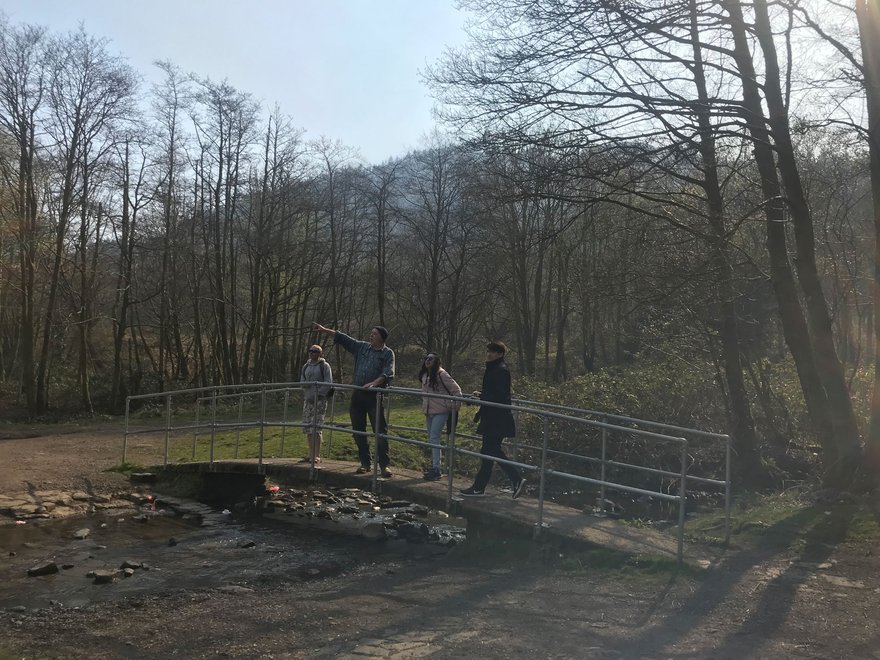 Welcome to our Woods woodland management project. Elena Luciano, Yasmina Yehia, Rafael Caldera, W2OW: Treherbert, Wales 2019