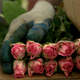Francesca Foster Moseley Floricultural