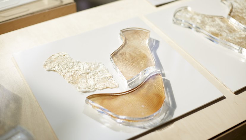 Sustainable Future Materials