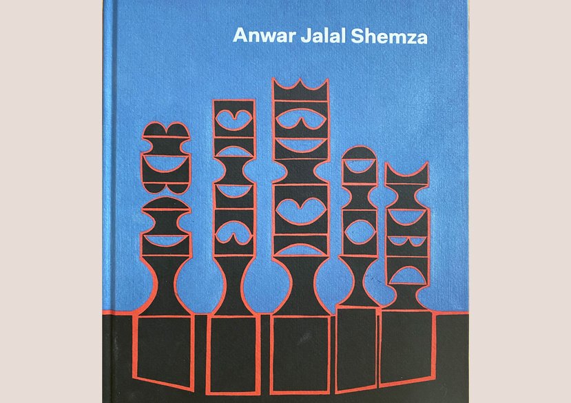 Shemza book cover