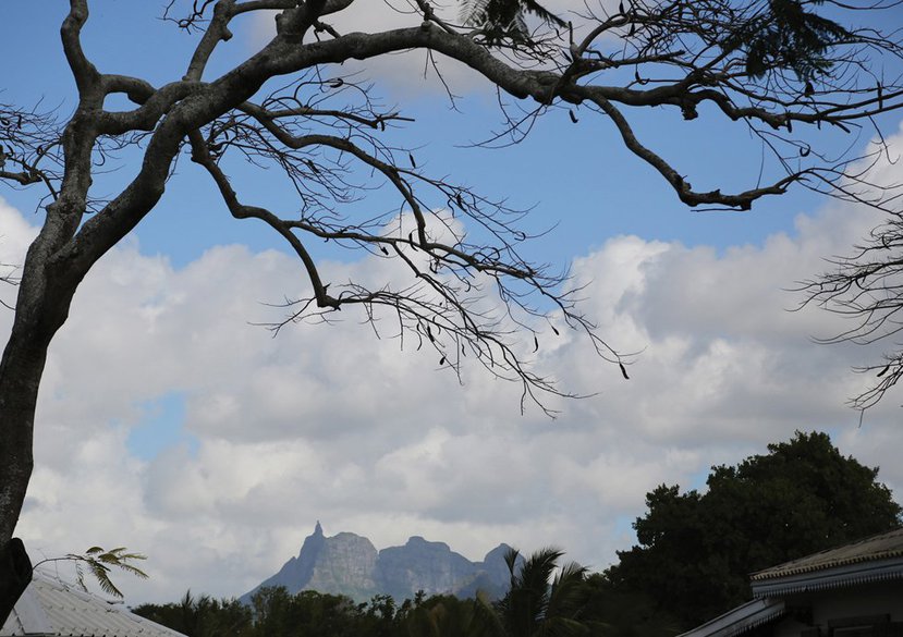 Gayle Chong Kwan, 'Plot', 2014