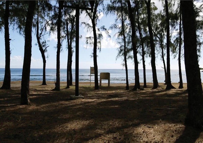 Gayle Chong Kwan, 'Plot', 2014