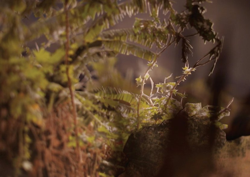 Gayle Chong Kwan, 'Plot', 2014