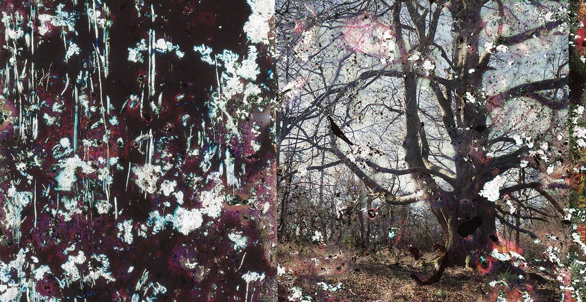 Harriet Rutter_MA Photography_ Interrrupt 2_RCA2026