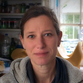 Heike Brachlow