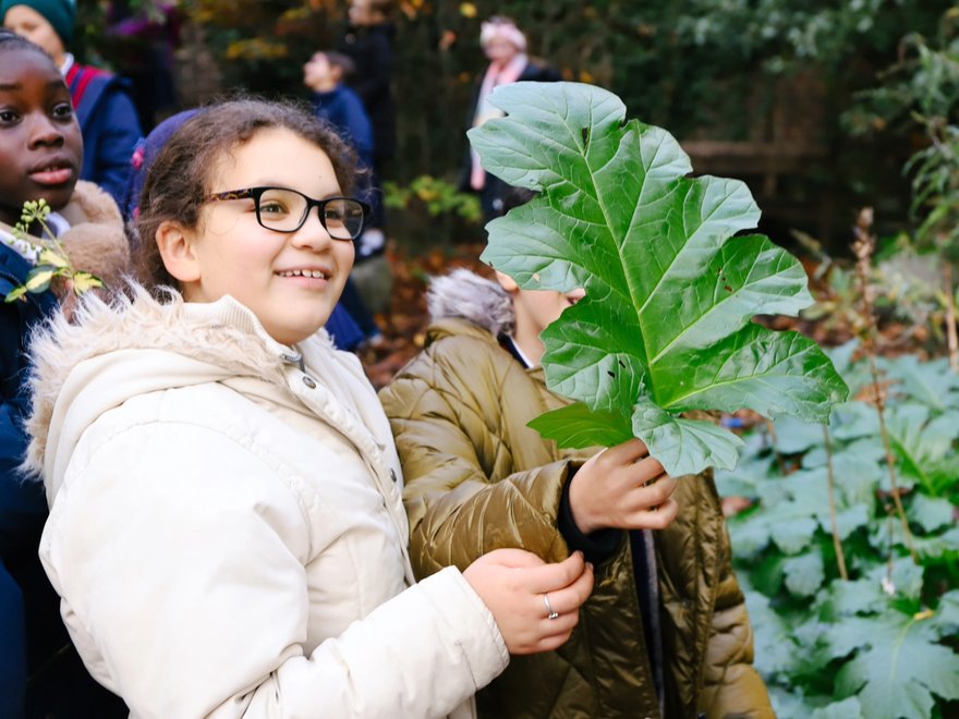 A young pupil holds a big leaf to her face