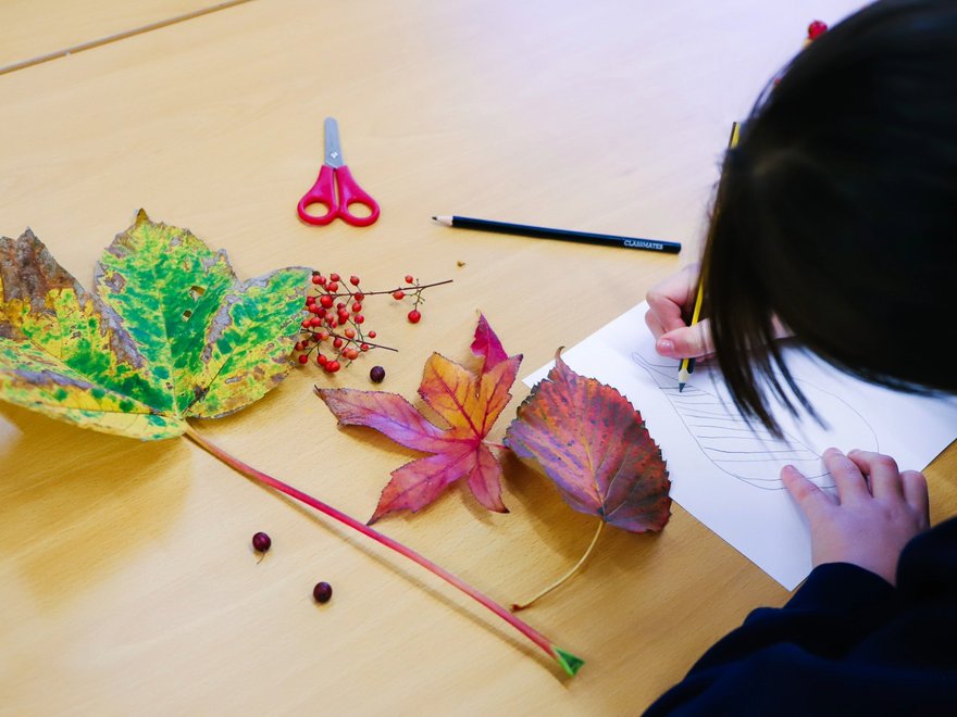 A young person sketches autumn leaves